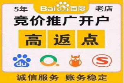 某品牌通过百度竞价提升线上销售业绩的案例